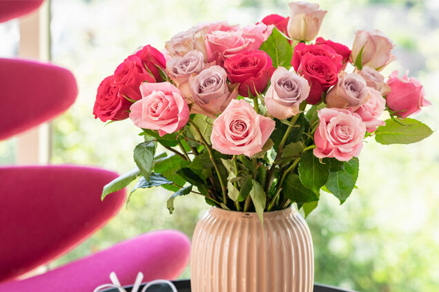 Roser---fargerike-636x424