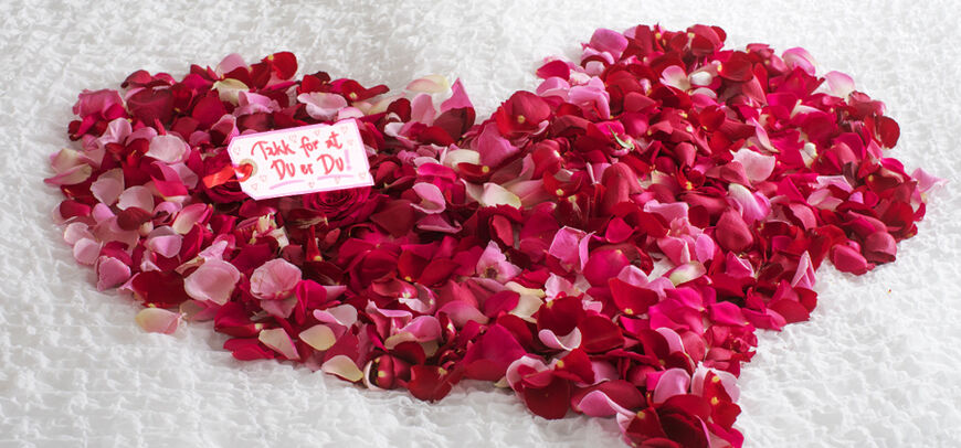 Toppbilde-Feire-bryllupsdagen-1